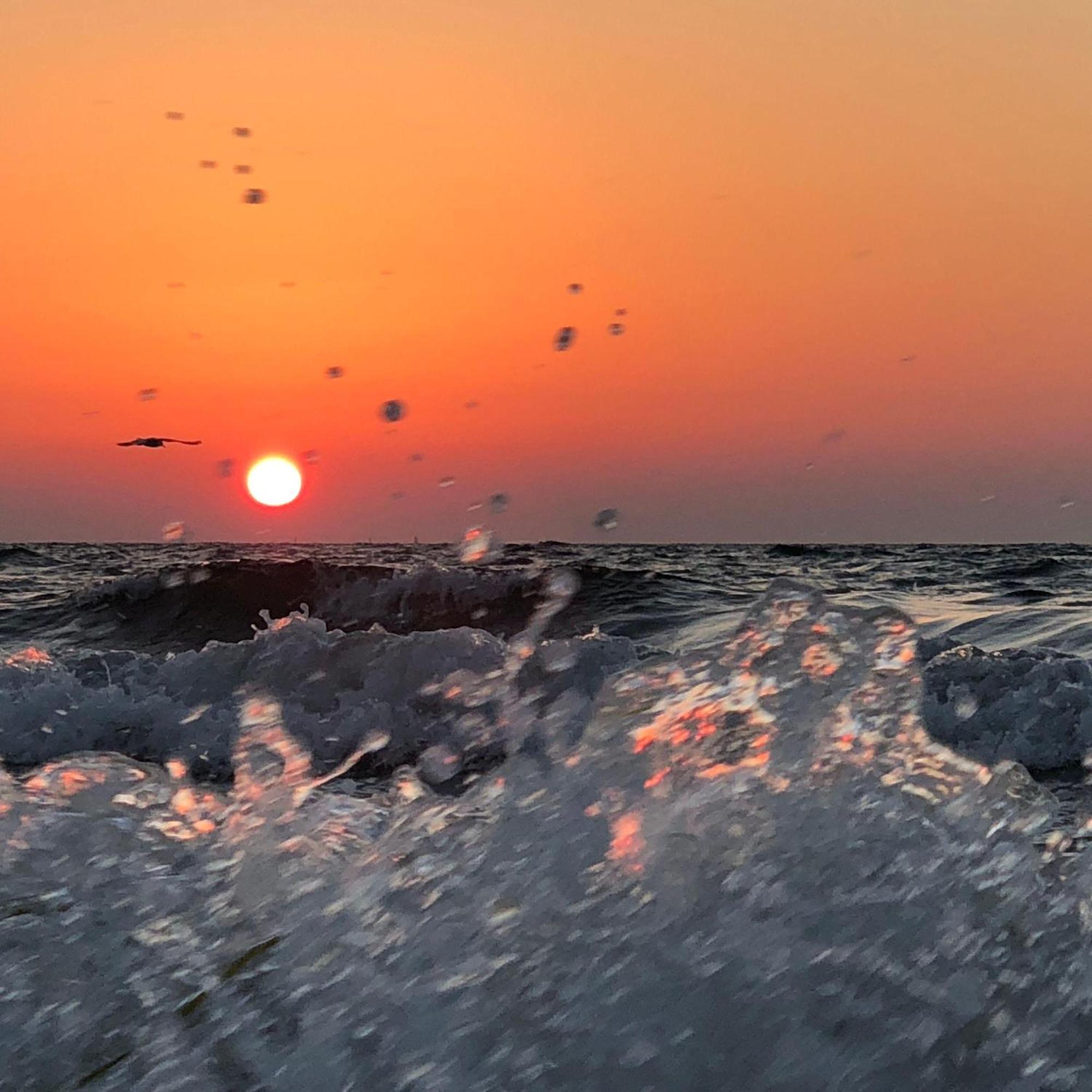Suedstrand-Ferienwohnung-Suhr Burgtiefe auf Fehmarn Esterno foto
